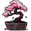 Bonsai of Spring