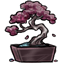 Bonsai of Harmony