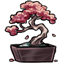 Bonsai of Serenity