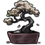 Bonsai Of Winter