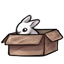 Lil Bunny Box