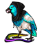 Raver Hooded Magpie