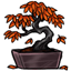 Bonsai of Maple Fall