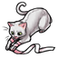 Bashful Kitten Ribbon