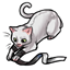 Duo Kitten Ribbon