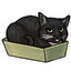 Deceptive Loaf of Cat