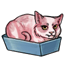 Salmon Loaf of Cat