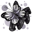 Twinkling Tuxedo Fluttering Fabric