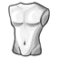 Mannequin Torso