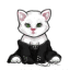 Onyx Studded Luxury Kitty Sweater