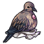 Mourning Dove Innocent Jeweled Top