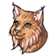 Ears of the Honeyed Lynx
