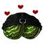 Lovingly Wrapped Black Melon Fabric