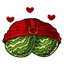 Lovingly Wrapped Ruby Melon Fabric