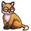 Nerdy Foxy Glasses
