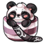 Teacup Panda Silky