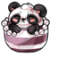 Teacup Panda Pearl