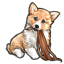 Corgi Ginger Coiffure