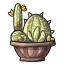 Golden Cacti Bling