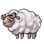 Golden Sheepish Wink