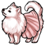 Pomeranian Poof