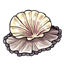 Opal Seashell Dress