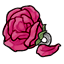 Fuchsia Rose Ring