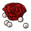 Red Roses and Pearls