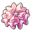 Covert Sakura Ruffles