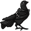 Little Raven Feathered Cape