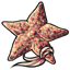 Sugary Starfish Strands