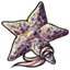 Daydreaming Starfish Strands