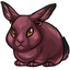 Disgruntled Dwarf Bunny Ears