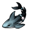 Dusky Shark Pearly Kelp Necklace