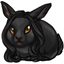 Disgruntled Dwarf Bunny Shadow Locks