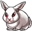 Disgruntled Dwarf Bunny Snowy Ears