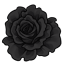Black Solitary Rose