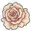 Cream Solitary Rose