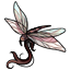 Wispy Sunset Dragonfly