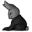 Shy Noir Bunny Sweater
