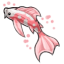 Gentle Angelic Koi Fish