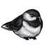 Chub Chickadee Wingers