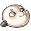 Wide Eyed Seal Mask