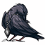 Grim Raven Cloak