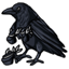 Stolen Raven Shoes