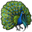 Elegant Peacock Curls