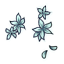 Mint Ankle Blossoms