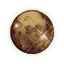 Bejeweled Eremurus Solar Stone