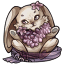 Lucid Lapin Lace