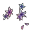Aurora Ankle Pin